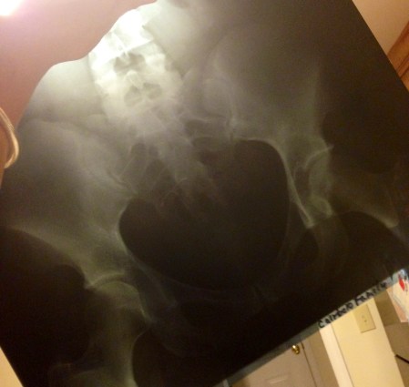 I have given you so many words over the years.  Now you can really have a look INSIDE me!